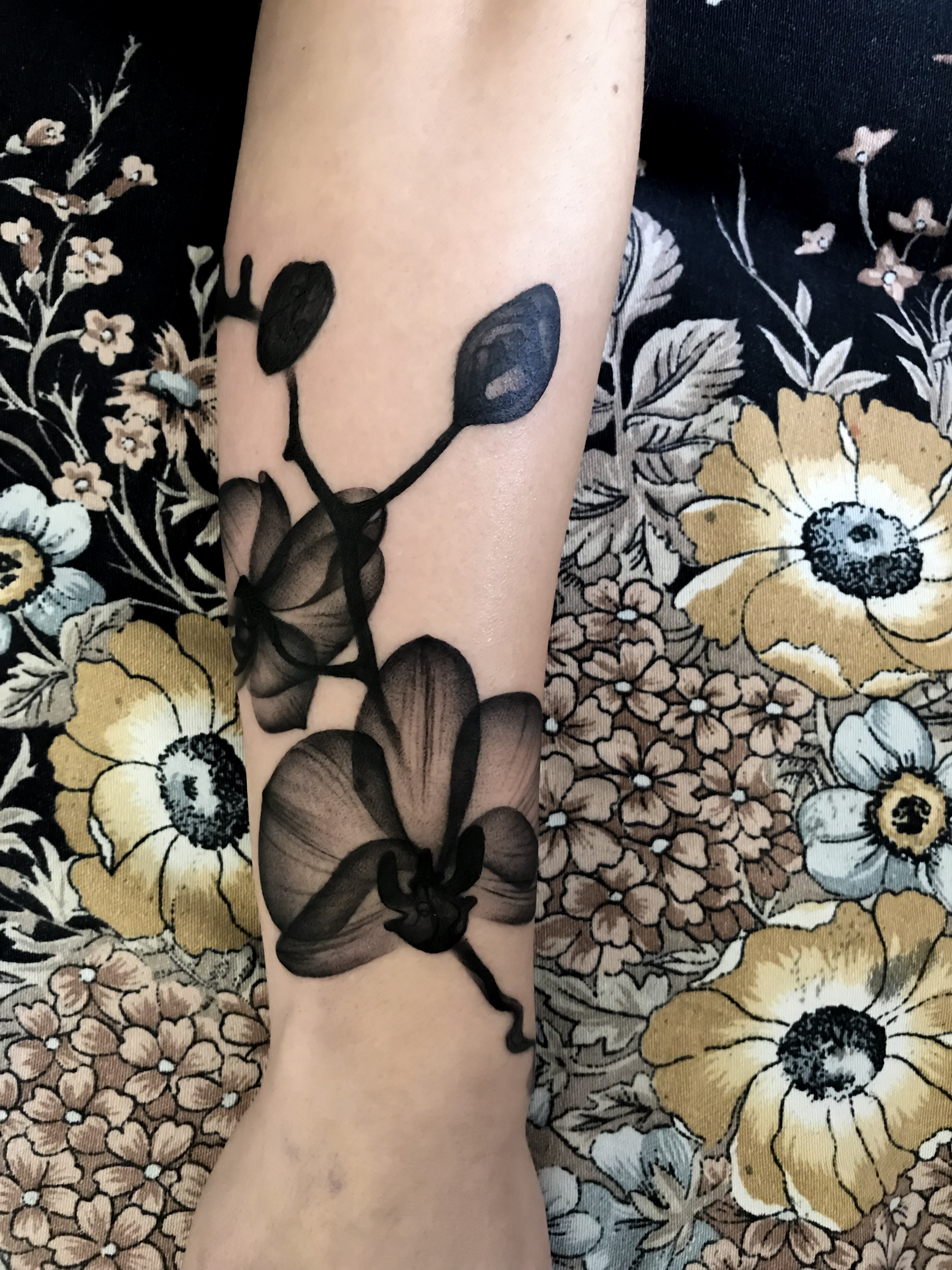 Ash Kendall Tattoo 2019 Okanagan Tattoo Show & Brewfest Artist